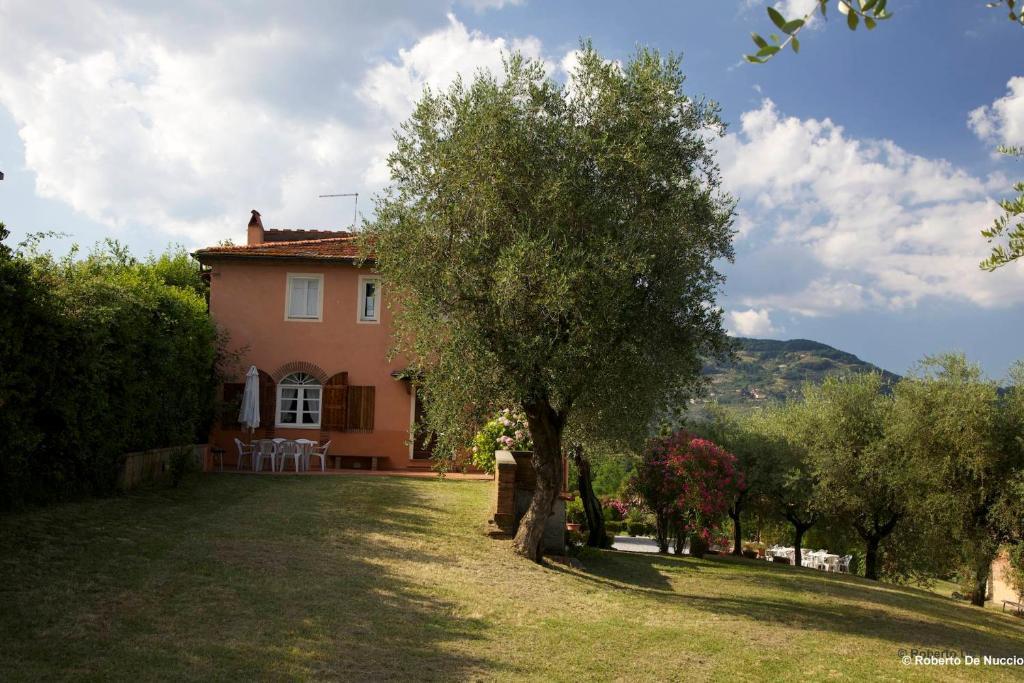 Tenuta Gaetano Spadaro Capannori Quarto foto