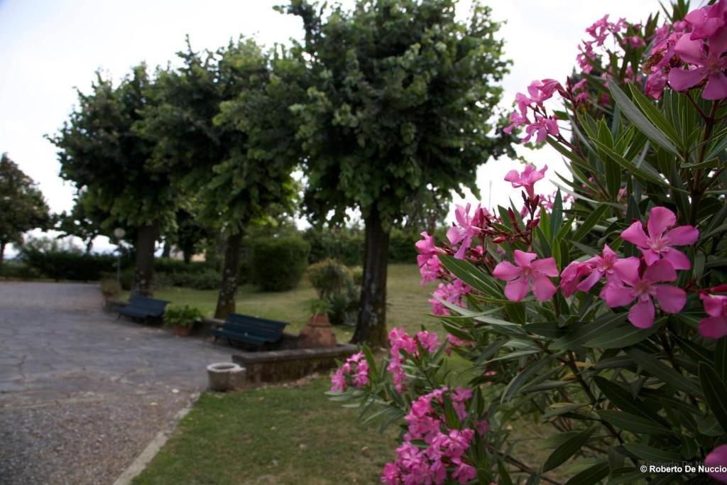 Tenuta Gaetano Spadaro Capannori Exterior foto